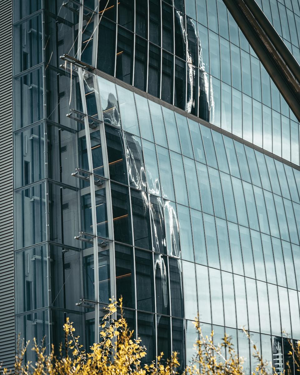 yellow flower in front of glass building